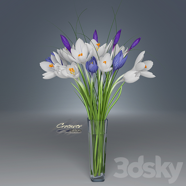 Crocus 3ds Max - thumbnail 1