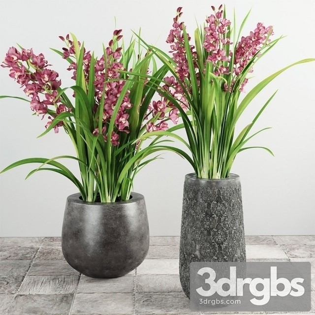 Cymbidium Bouquet 3dsmax Download - thumbnail 1