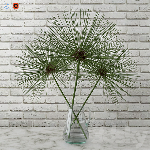 Cyperus papyrus _ Papyrus in a vase 3DSMax File - thumbnail 1