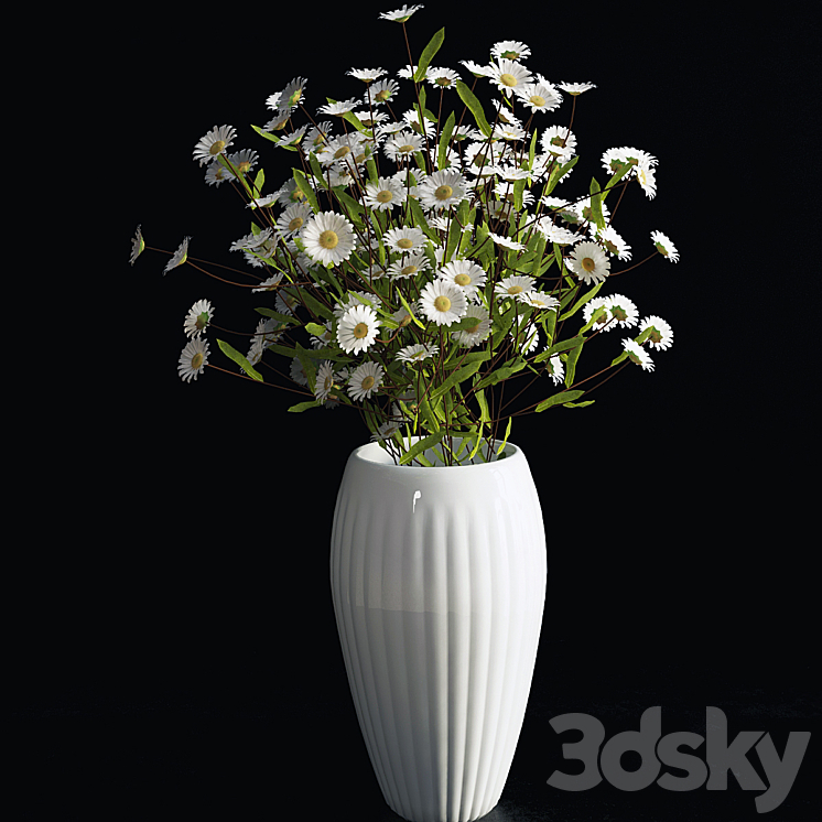 Daisies 3DS Max - thumbnail 1