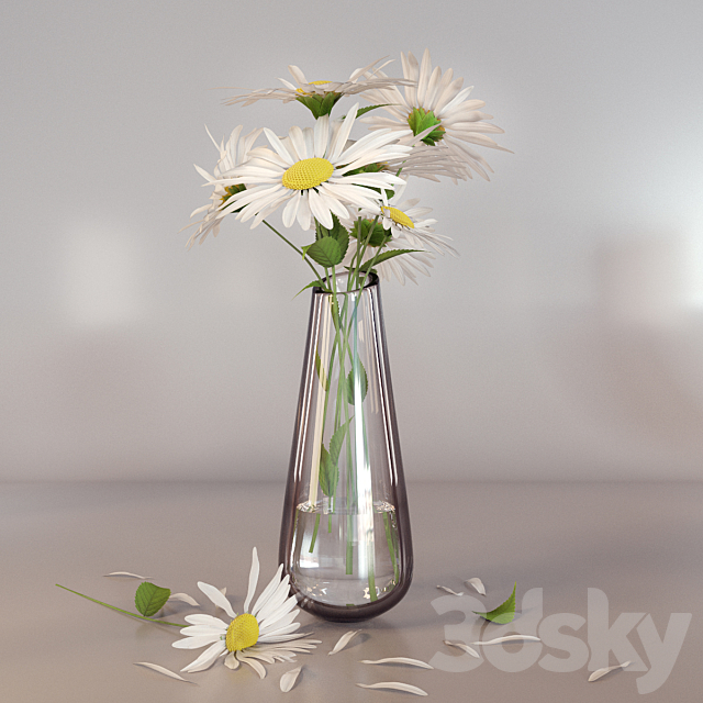 Daisies 3DS Max Model - thumbnail 2