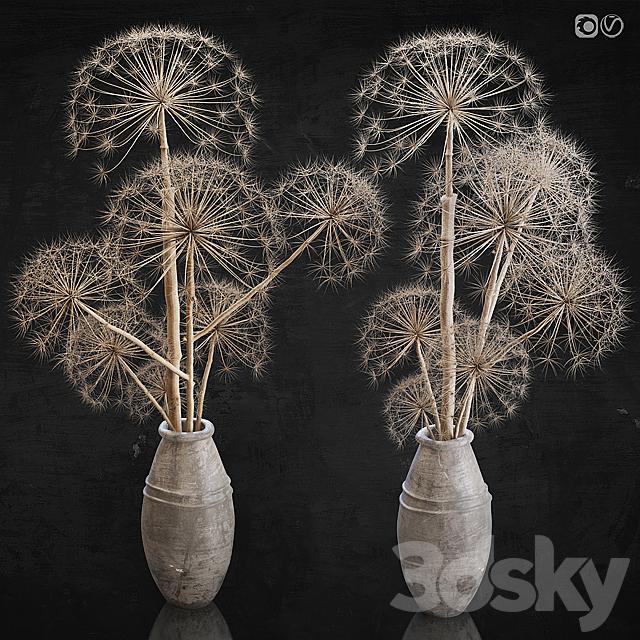 Decor set 11 Heracleum plant 3DSMax File - thumbnail 1