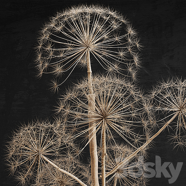 Decor set 11 Heracleum plant 3DSMax File - thumbnail 3