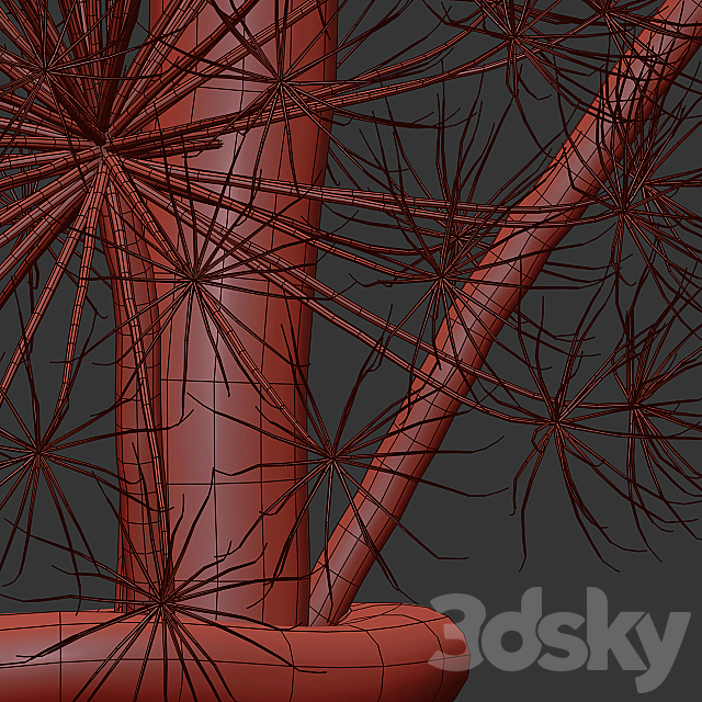 Decor set 11 Heracleum plant 3DSMax File - thumbnail 5