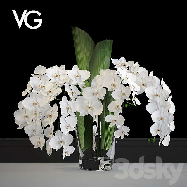 Decorative arrangement of orchids VG 3DS Max Model - thumbnail 1