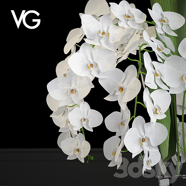 Decorative arrangement of orchids VG 3DS Max Model - thumbnail 2