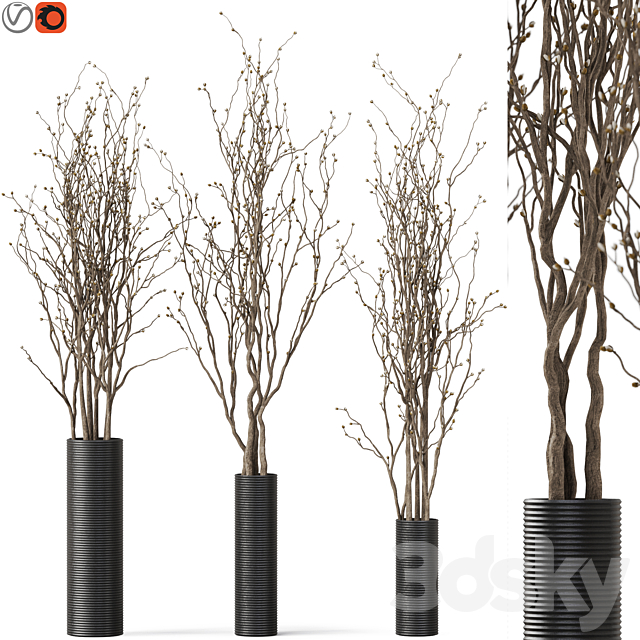 decorative branch 07 3ds Max - thumbnail 1