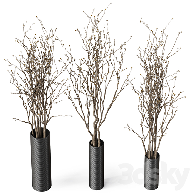 decorative branch 07 3ds Max - thumbnail 3