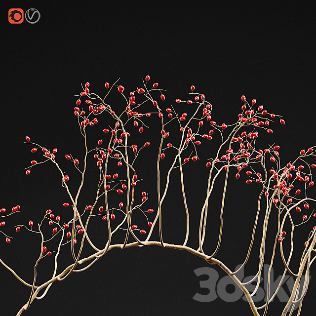 Decorative branch with red berries in a glass vase 3ds Max - thumbnail 3