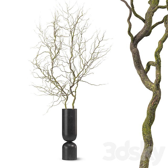 Decorative branches in a floor-standing black metal vase 3ds Max - thumbnail 1