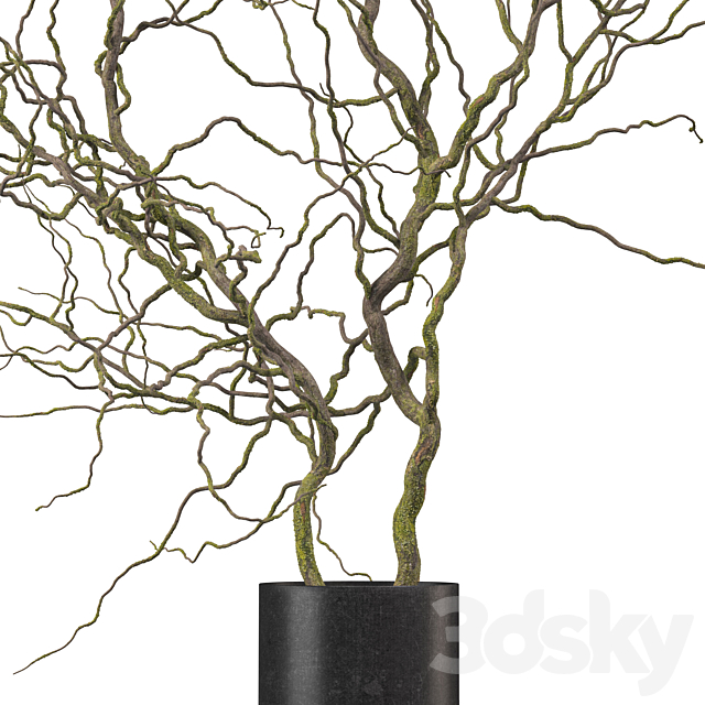 Decorative branches in a floor-standing black metal vase 3ds Max - thumbnail 3