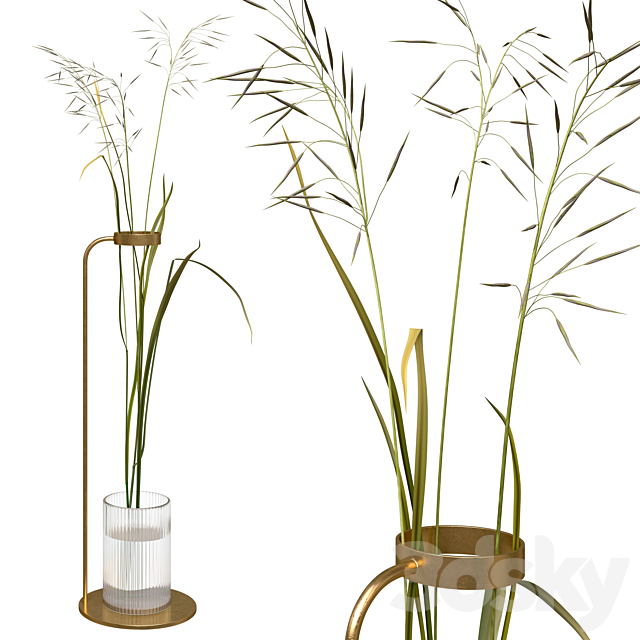 Decorative composition with field grass 3DSMax File - thumbnail 1