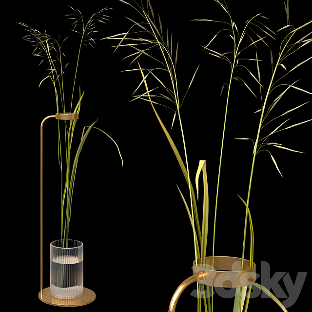 Decorative composition with field grass 3DSMax File - thumbnail 2