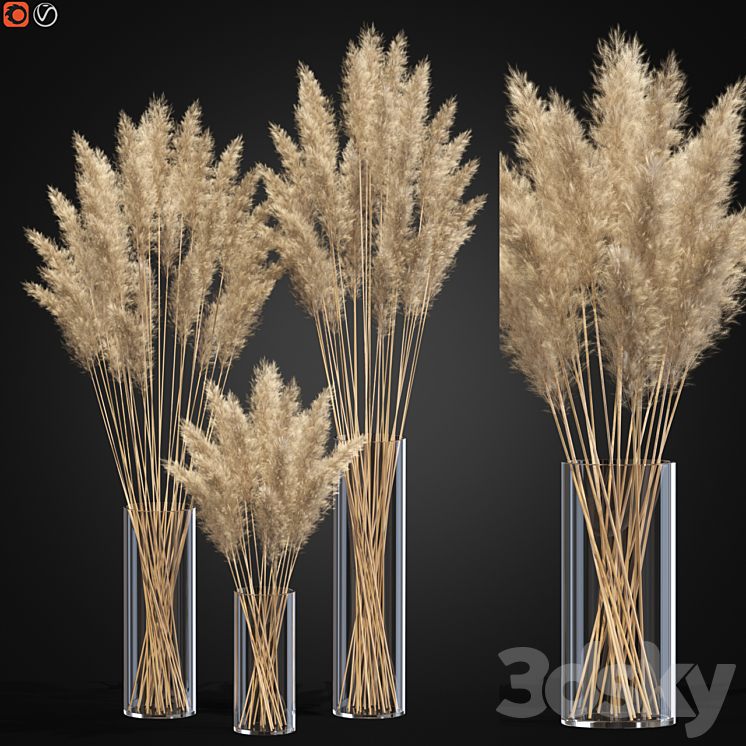 Decorative Pampas 3DS Max - thumbnail 1