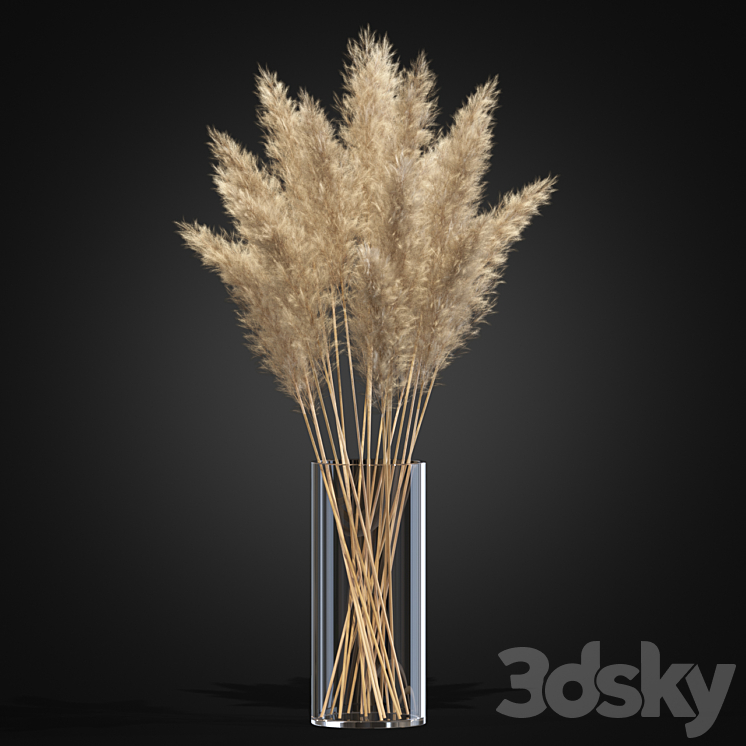 Decorative Pampas 3DS Max - thumbnail 2