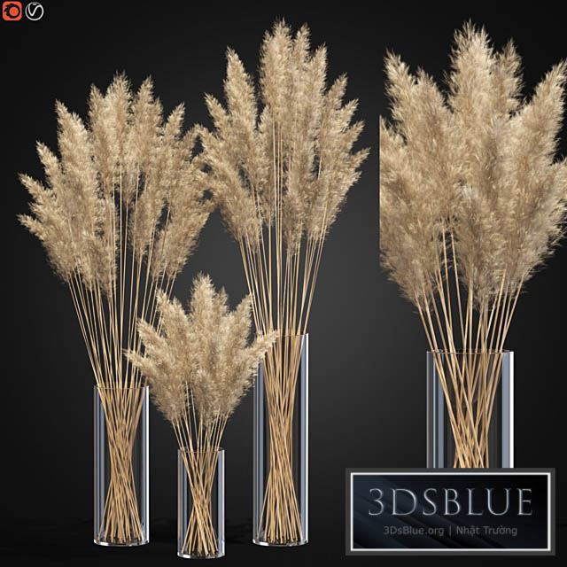 Decorative Pampas 3DS Max - thumbnail 3