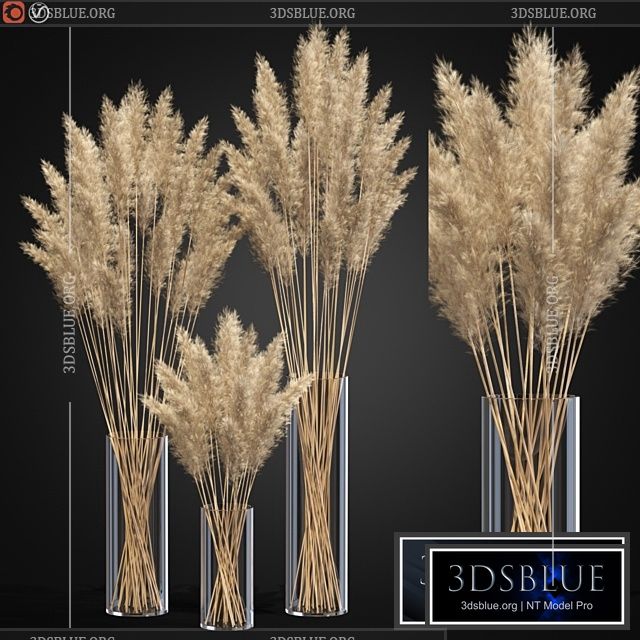 Decorative Pampas 3DS Max - thumbnail 3