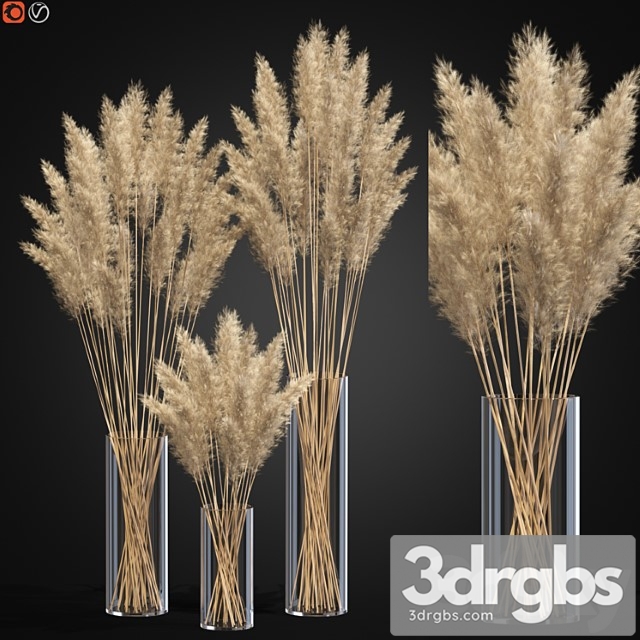 Decorative pampas - thumbnail 1