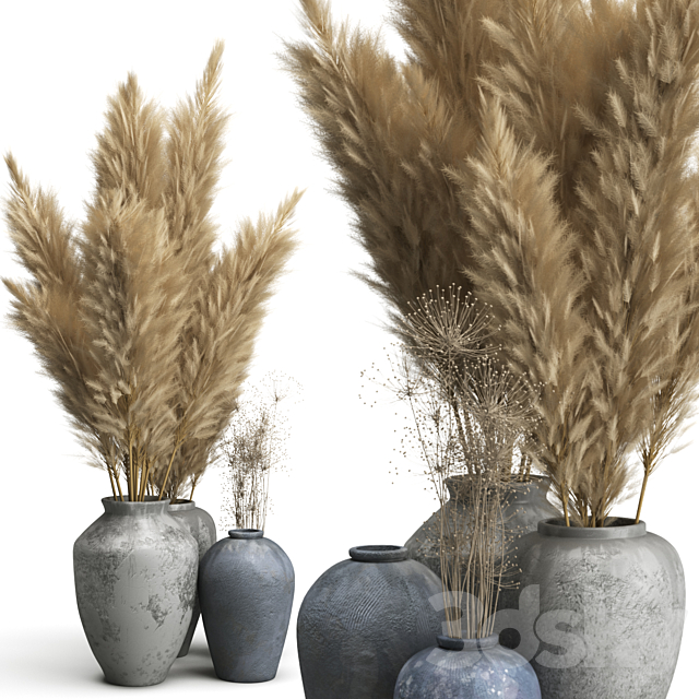 Decorative set of Clay Vases and Pampas Grass 3DS Max Model - thumbnail 3