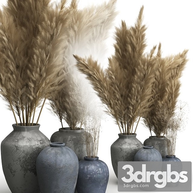 Decorative Set of Clay Vases and Pampas Grass 3dsmax Download - thumbnail 1