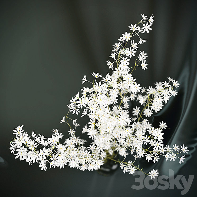 Dendrobium Orchid flowers (red \/ white) 3DS Max - thumbnail 2