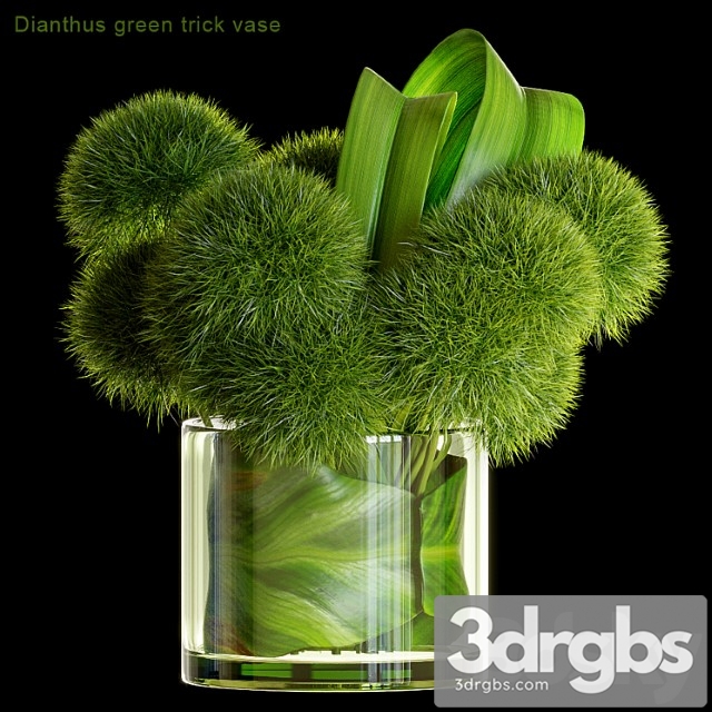 Dianthus green trick vase - thumbnail 1