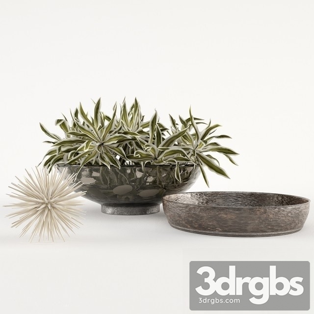 Dracaena Reflexa Bouquet 3dsmax Download - thumbnail 1