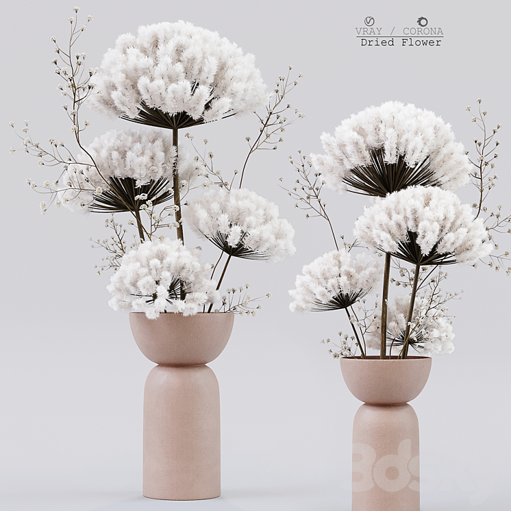 Dried Flower 3DS Max Model - thumbnail 3