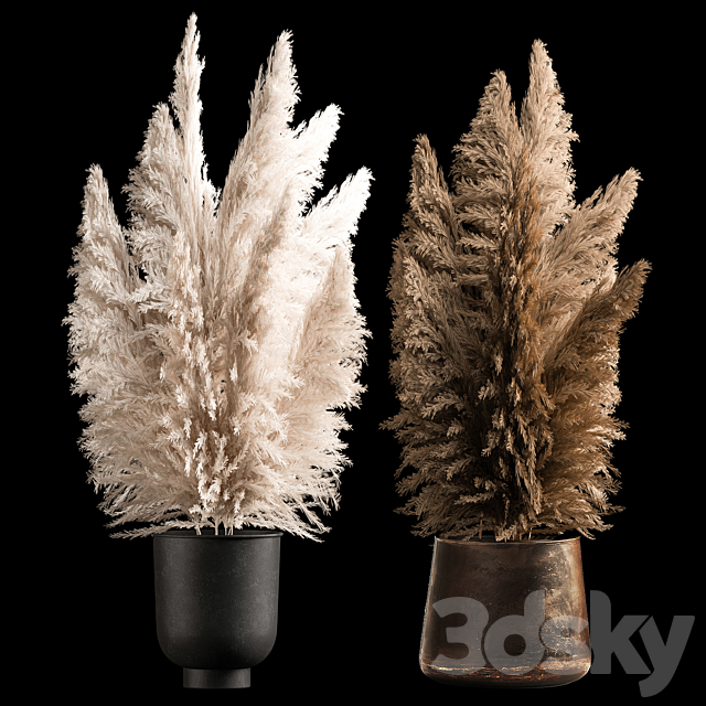 Dried flower bouquet of dried reeds in a rusty metal pot from pampas grass Cortaderia. 272. 3ds Max - thumbnail 1