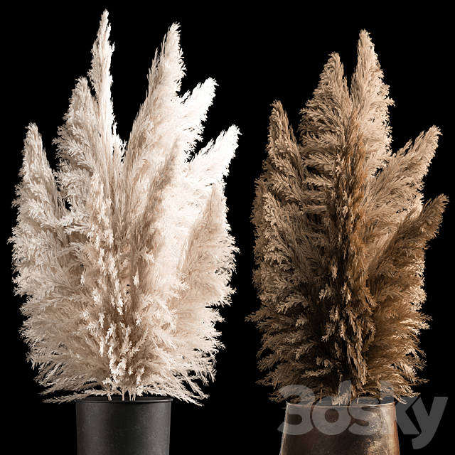 Dried flower bouquet of dried reeds in a rusty metal pot from pampas grass Cortaderia. 272. 3ds Max - thumbnail 2