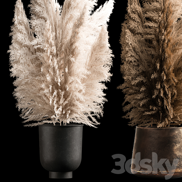 Dried flower bouquet of dried reeds in a rusty metal pot from pampas grass Cortaderia. 272. 3ds Max - thumbnail 3