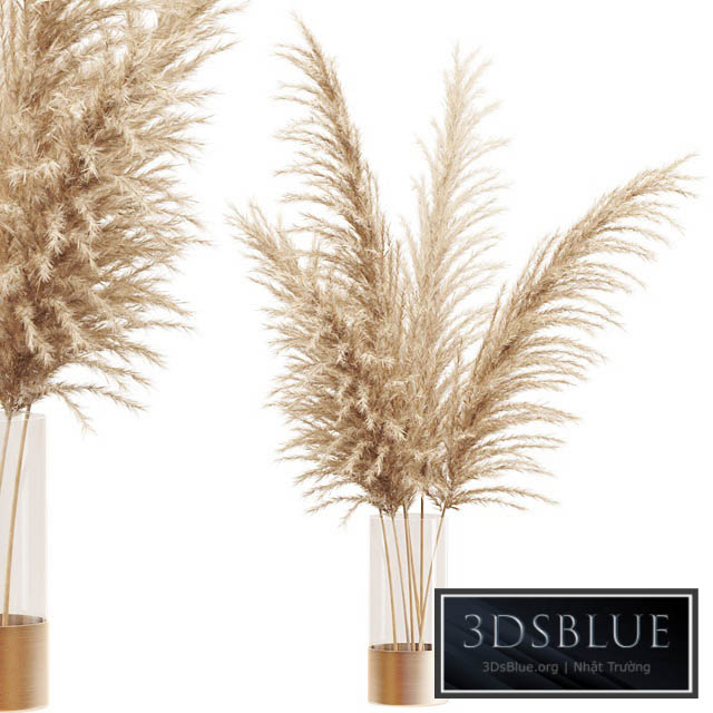 Dried flower pampas grass in glass gold vase 3DS Max - thumbnail 3