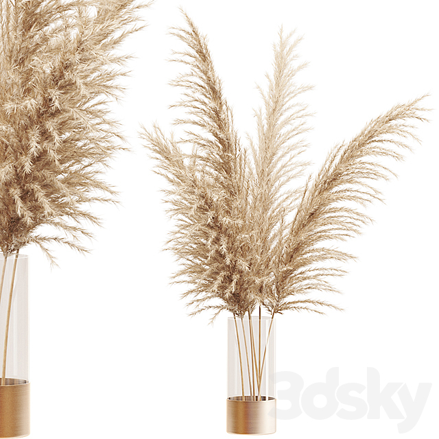 Dried flower pampas grass in glass gold vase 3DS Max Model - thumbnail 1