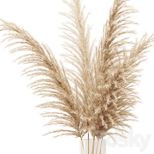 Dried flower pampas grass in glass gold vase 3DS Max Model - thumbnail 2