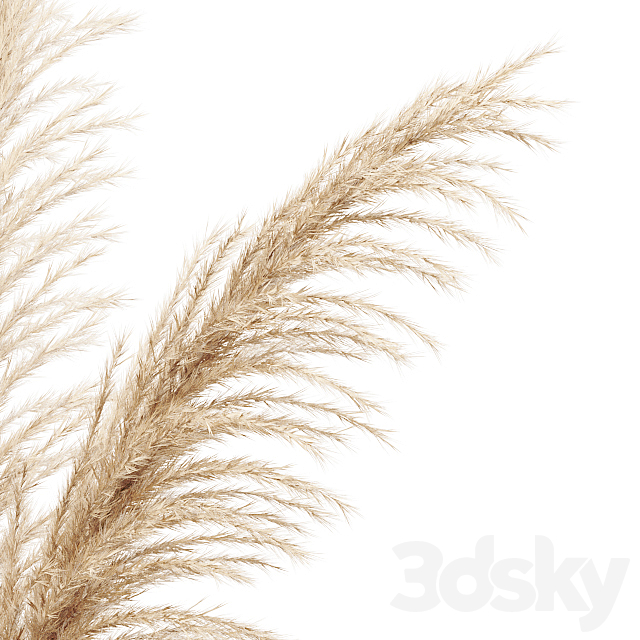 Dried flower pampas grass in glass gold vase 3DS Max Model - thumbnail 3