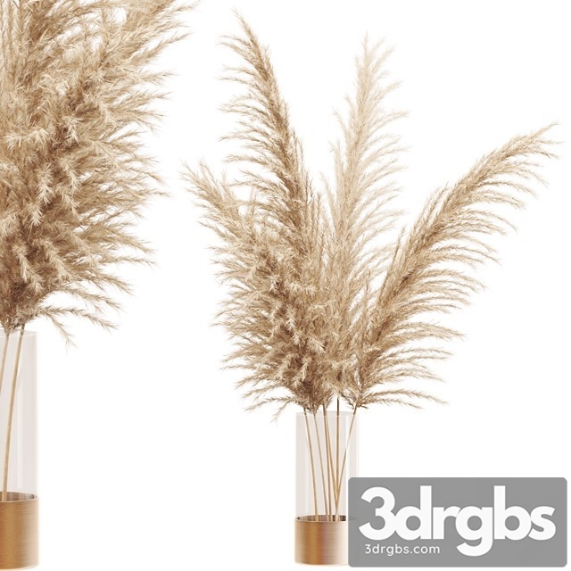 Dried Flower Pampas Grass in Glass Gold Vase 3dsmax Download - thumbnail 1