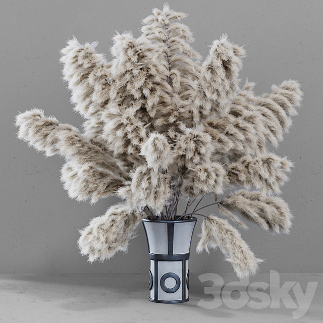 DRIED FLOWERS _ pampas grass 3DSMax File - thumbnail 1