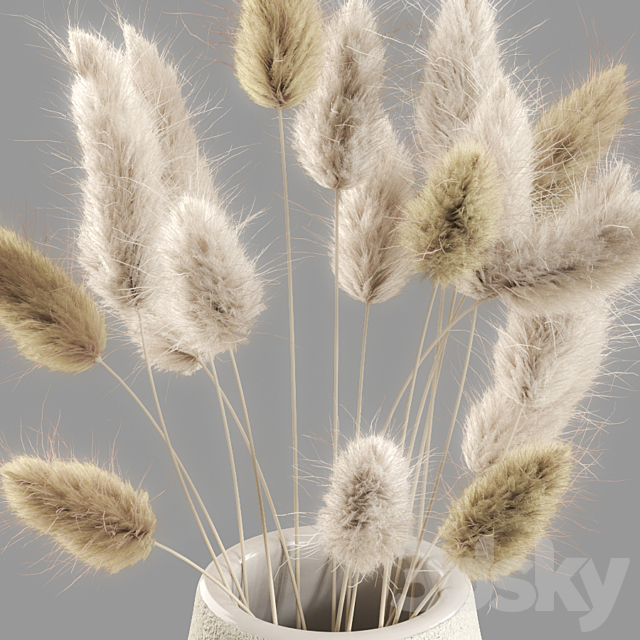 Dried Lagurus Bouquets 01 3DSMax File - thumbnail 3