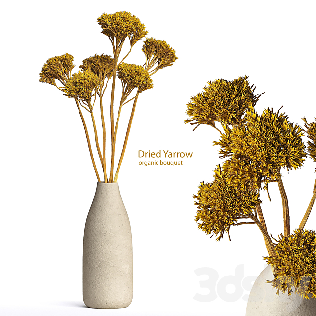 Dried Organic Bouquet Yarrow 3ds Max - thumbnail 1