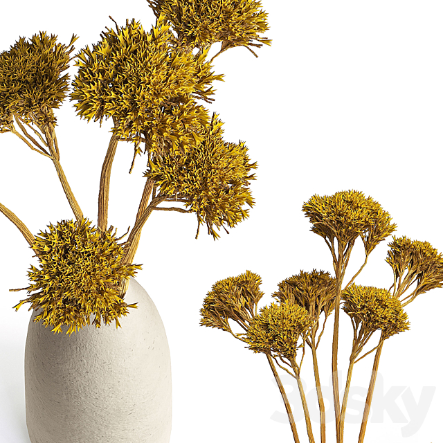 Dried Organic Bouquet Yarrow 3ds Max - thumbnail 2