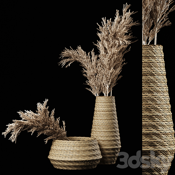 Dried Pampas Bouquet in Rattan Wicker Vases 3DS Max Model - thumbnail 1