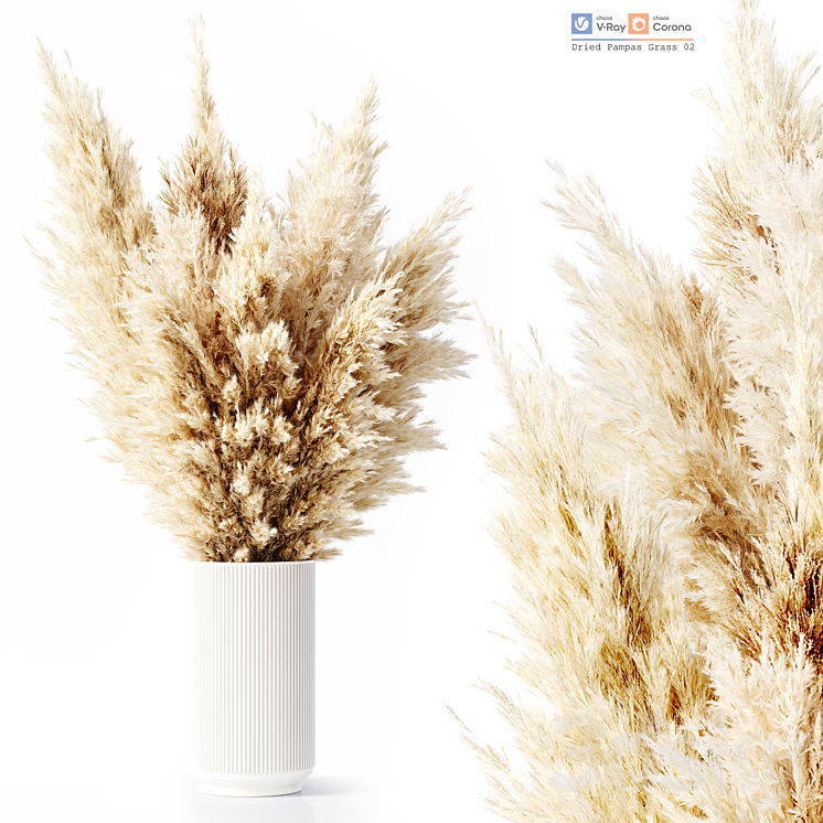 Dried Pampas Grass 02 3DS Max Model - thumbnail 1