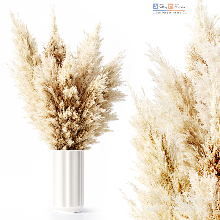 Dried Pampas Grass 02 3DS Max - thumbnail 1