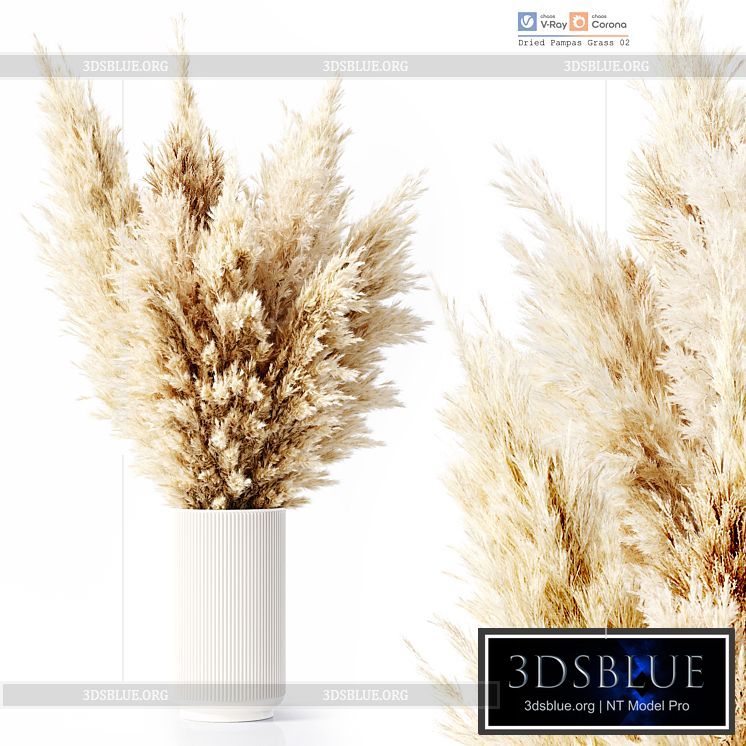 Dried Pampas Grass 02 3DS Max - thumbnail 3