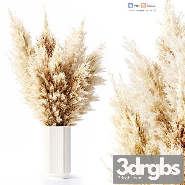 Dried Pampas Grass 02 3dsmax Download - thumbnail 1