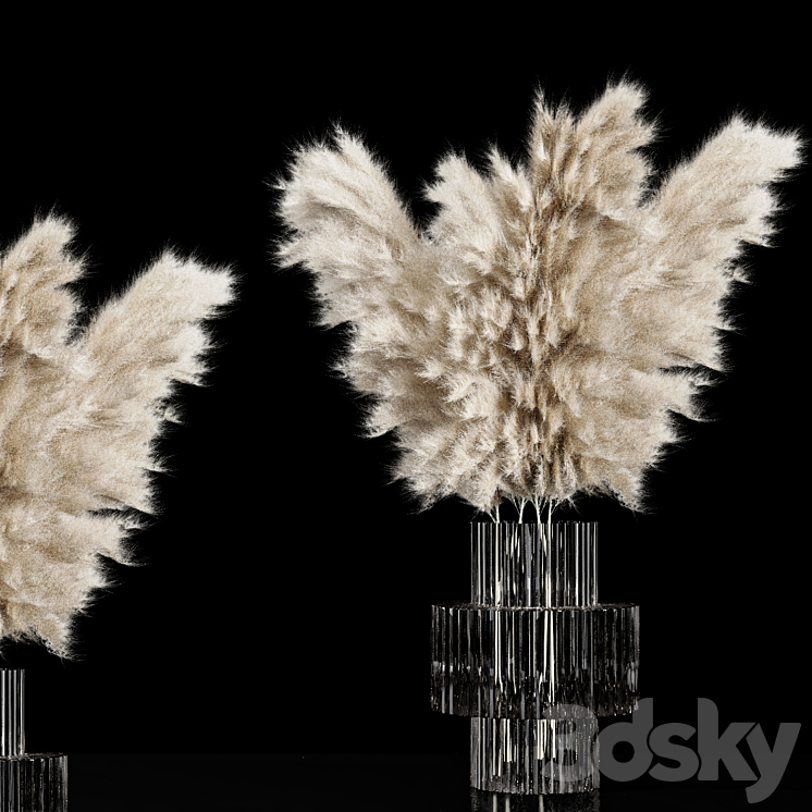 Dried Pampas Plant 3DS Max Model - thumbnail 1