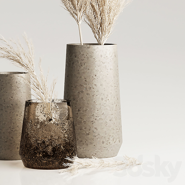 Dried Pampas Plant in Vases 3DS Max Model - thumbnail 2