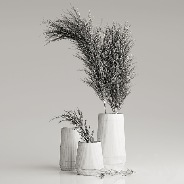 Dried Pampas Plant in Vases 3DS Max Model - thumbnail 4