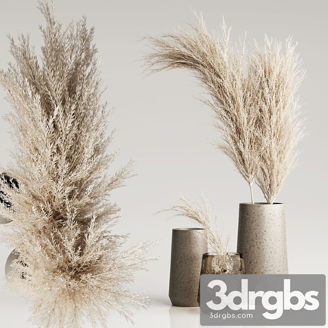 Dried pampas plant in vases - thumbnail 1