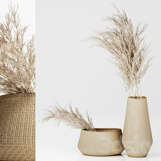 Dried Plants in Straw Baskets 3DSMax File - thumbnail 1